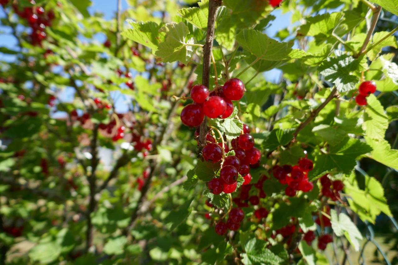 Idas Garten Бад Лаутерберг Екстериор снимка