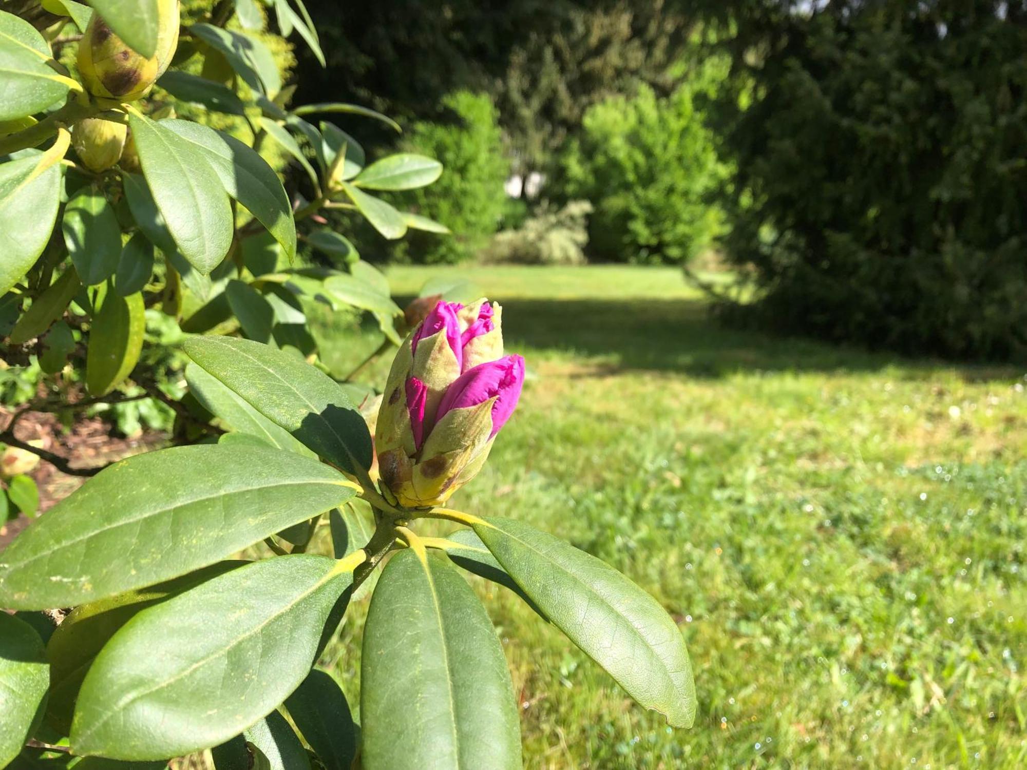 Idas Garten Бад Лаутерберг Екстериор снимка
